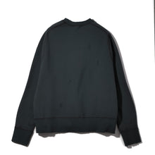 画像をギャラリービューアに読み込む, Damaged Sweat Shirt.